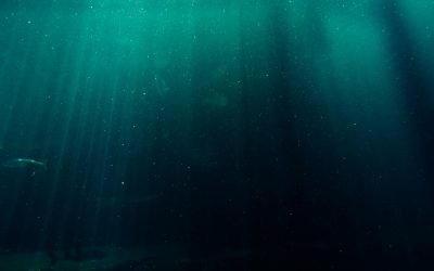 INSPECCIONES PERIÓDICAS EN EMBARCACIONES